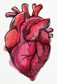 painted anatomical heart urban threads unique and awesome embroidery designs