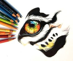 colorful tiger eye by lucky978 tiger drawing tiger sketch marker art eye art