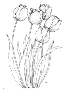 d d d dµdon d d n dod adult coloring pages coloring books coloring pages nature flower coloring