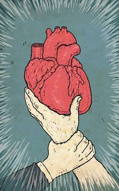 anatomy art hart anatomy heart images