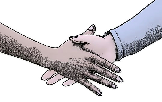 hand hands shaking hands man hand