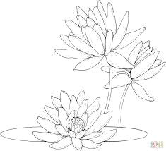 image result for water lily coloring pages
