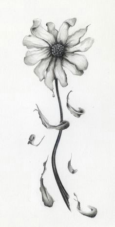 64 best drawing images in wilted flower drawing collection clipartxtras