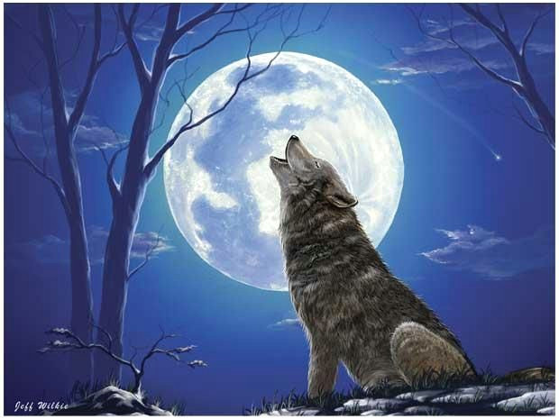 lone wolf by jeff wilkie grey wolf howling at the moon 300 piece puzzle