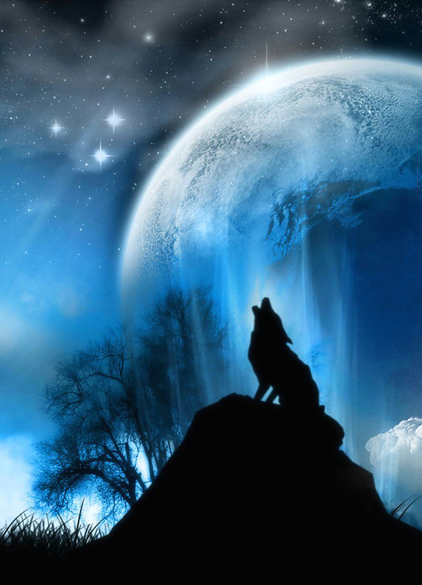 wolf howling at the moon