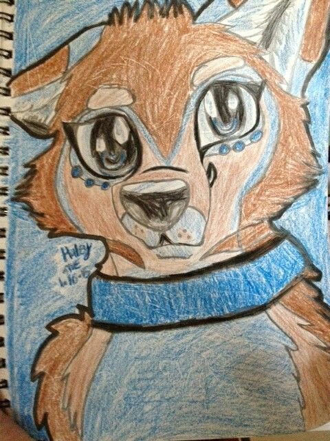 my drawing of a wolf furry of mine named haley 3