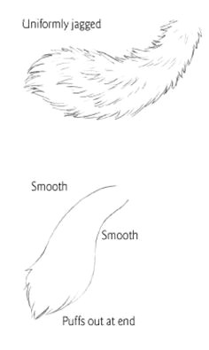 tail types 1