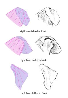 how to draw dog ears like an artist art ed central animal drawings cool drawings