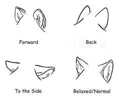 how to draw wolf ears how to draw wolf how to draw dragons how
