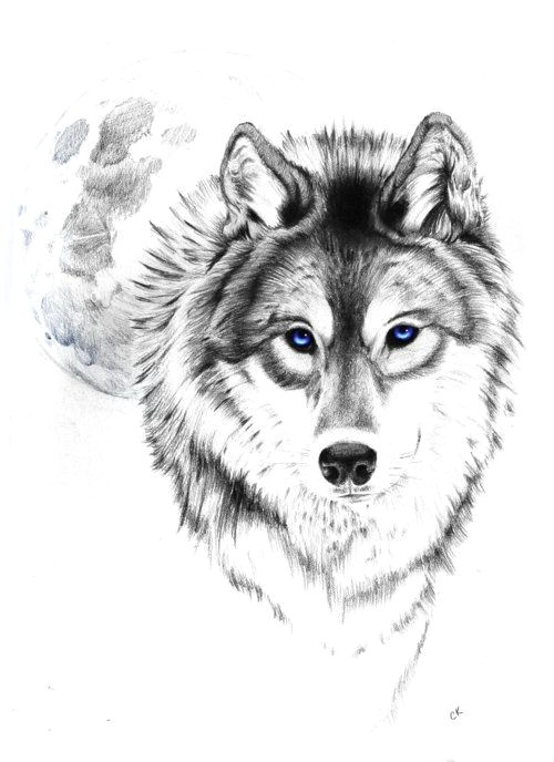 wolf tattoo tumblr love this wolf and moon needs to have amber eyes though not blue
