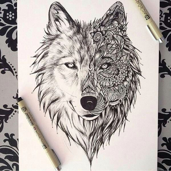 beautiful wolf drawing as a tattoo
