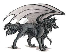 wolves with wings a hello i m shadow not my art im the warrior of the