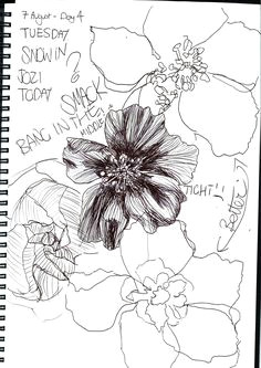 gillian cook a flower a day project day 6 line drawing and continuous line