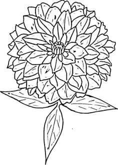 zinnia flowers free printable coloring pages free coloring pages coloring books colouring