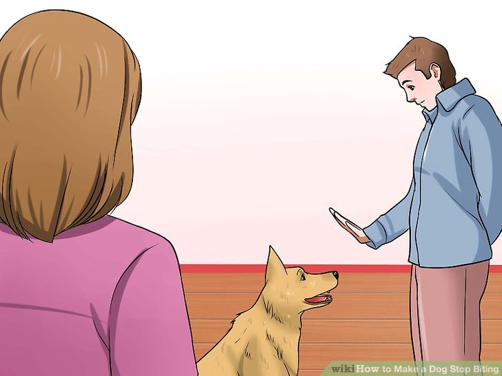 image titled make a dog stop biting step 4