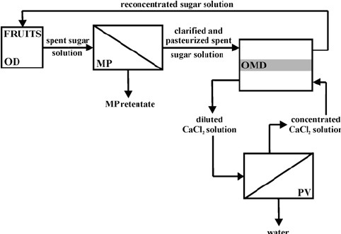 mp omd pv hybrid system for the management of spent sugar solution from od