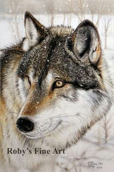 items similar to timber wolf print wildlife giclee art by roby baer psa on etsy