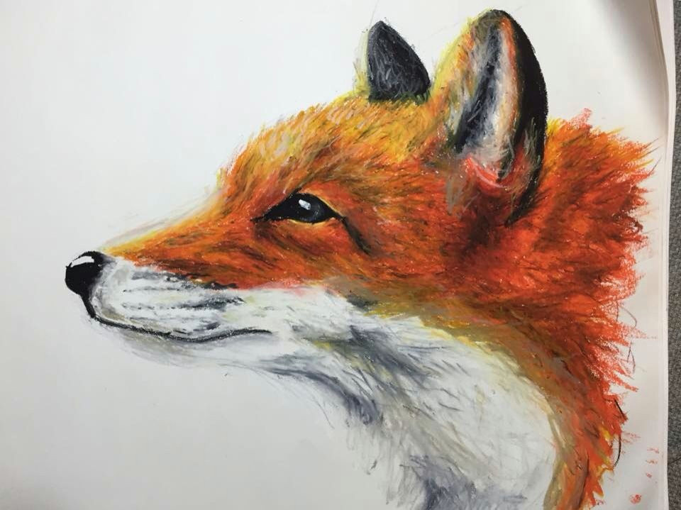 oil pastels fox drawing