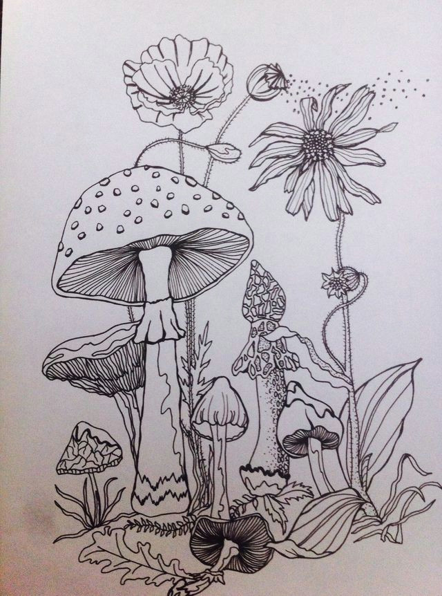 forest drawing forest sketch forest painting moon drawing mushroom paint mushroom