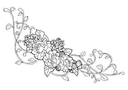 jasmine flower and vine line drawing