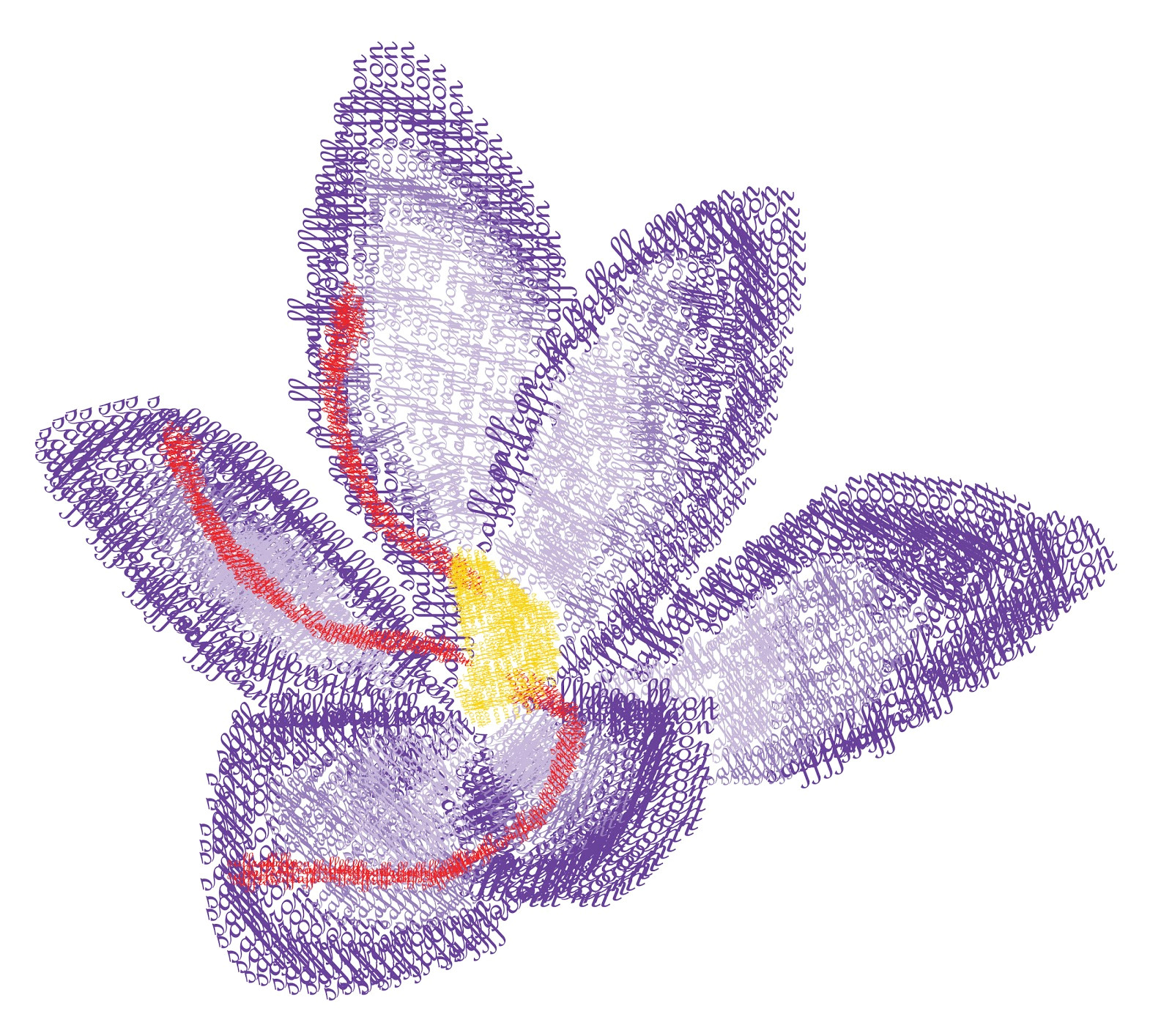 saffron flower type drawing and fruit