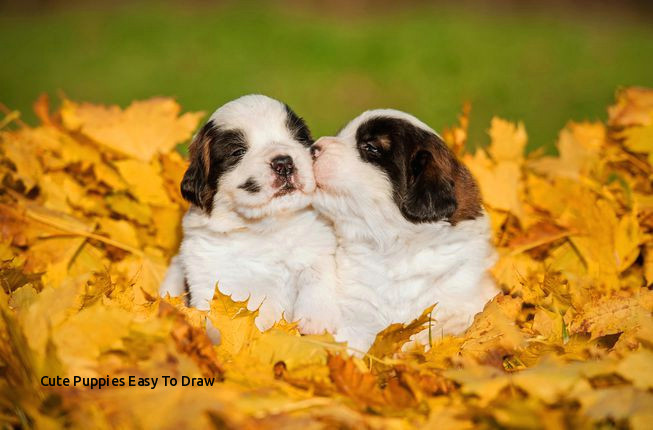 cute puppies easy to draw the 6 biggest challenges all new puppy owners face of cute