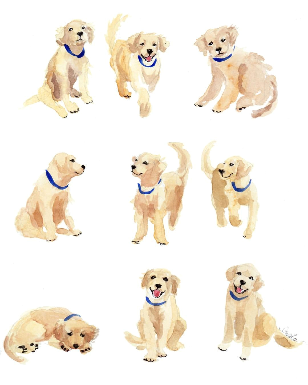 puppies inslee haynes puppy drawing animal drawings animal sketches art drawings