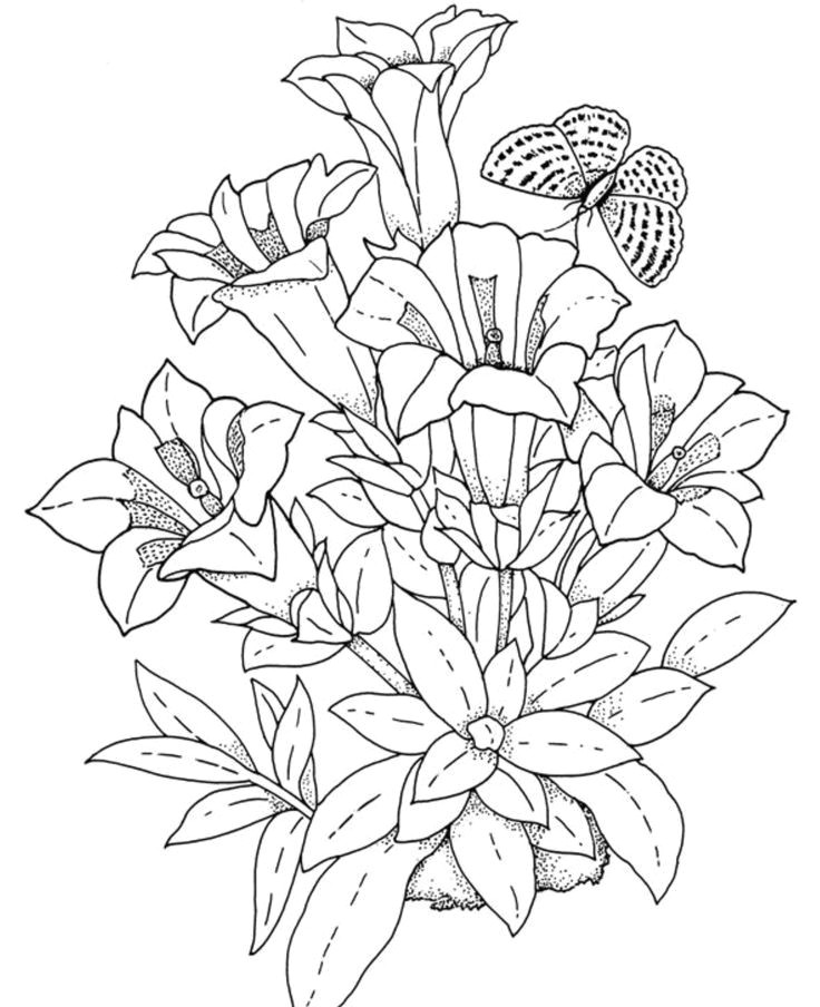 download and print realistic flowers coloring pages for the top adult coloring books and writing utensils including gel pens watercolors