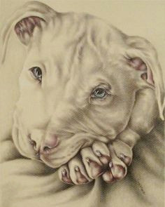 dog art dog poster pit bull pitbull dog print dog decor dog illustration dogpicture gift dog lover animal print animal art pitbull