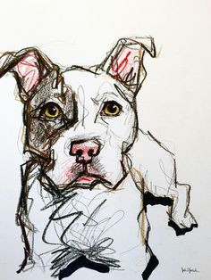 pit bull pet portrait sketch art plastique dog sketches animal sketches portrait sketches