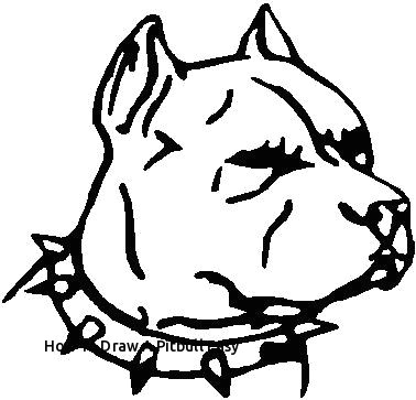 how to draw a pitbull easy 28 collection of pitbull dog face drawing of how to