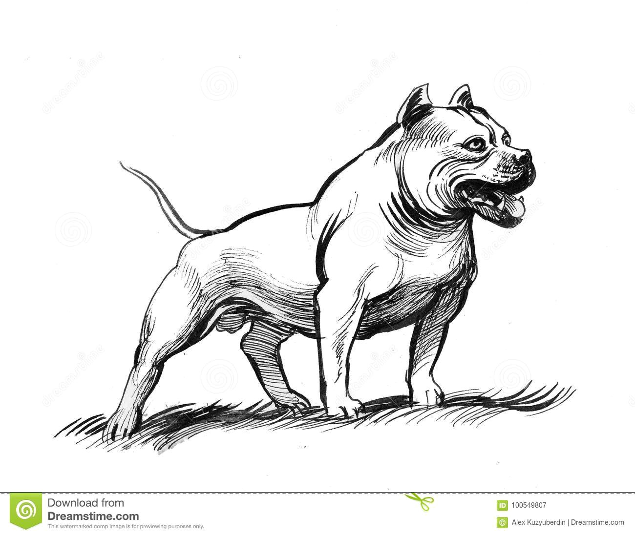 ink sketch of a strong pit bull dog