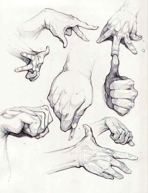 tumblr hand reference