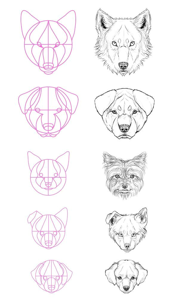 step 13 but what about all the breeds most of them aren t really similar to a wolf well that s not a problem just modify the size of the elements of