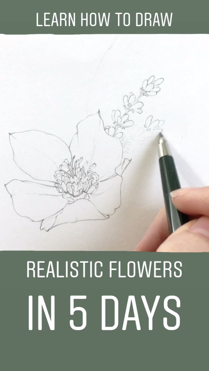 learn how to draw realistic flowers in less than one week join me and hundreds