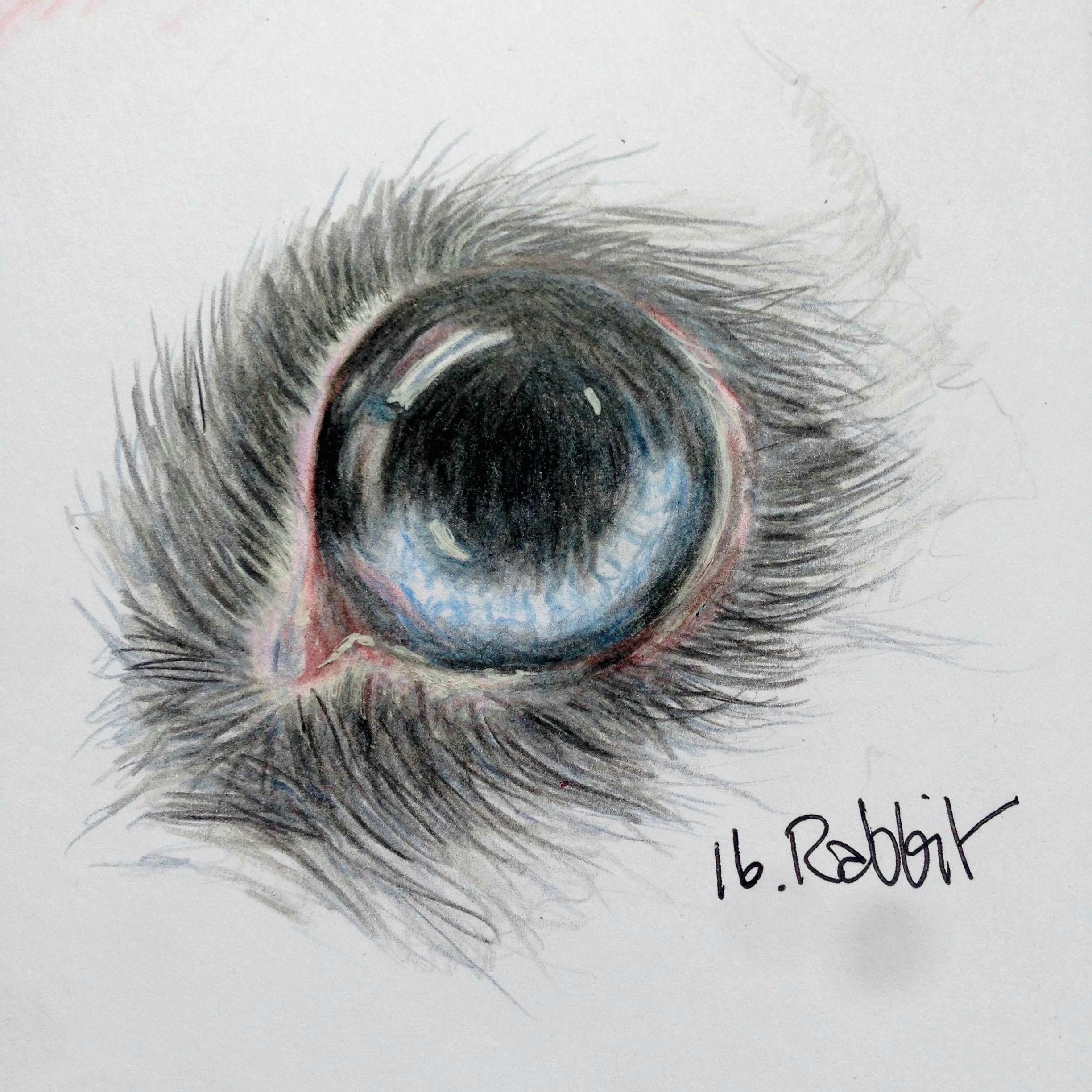 rabbit eye by bloowabbit doodle eye challenge from sea lemon