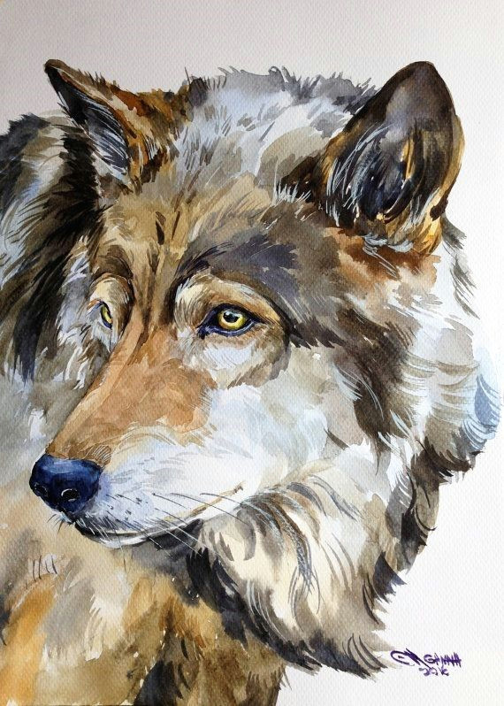 drawing pencil portraits gris loup portrait faune animal aquarelle par alisiasilverart discover the secrets of