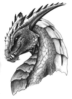coloring for adults kleuren voor volwassenen dragon head drawing dragon drawings dragon sketch