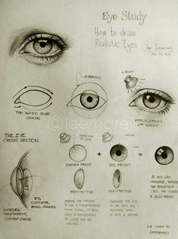 eye study how to draw realistic eyes thank you olivia garca a garca a garca a garca a garca a powers