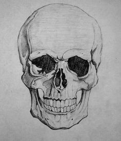 how to draw a skull