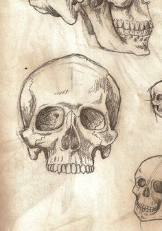 skull sketching practice how to draw skulls skeleton drawings art alevel