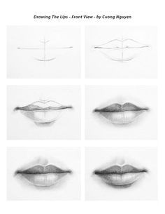 drawing lips front view step by step by cuong nguyen https www