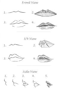 delineate your lips how to draw realistic lips sketch lips step 6 how to draw lips correctly the first thing to keep in mind is the shape of your lips