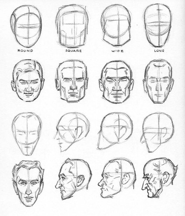 loomis anatomy reference drawing reference drawing heads painting drawing art drawings