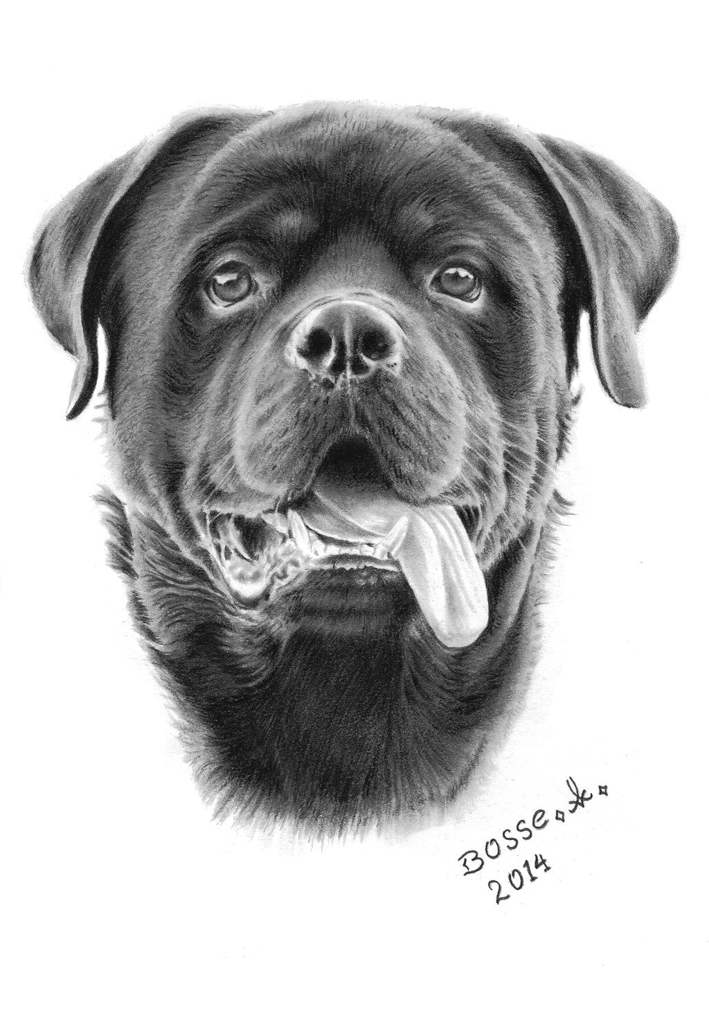 rottweiler 2 by torsk1 on deviantart dog sketches dog artwork rottweiler dog big
