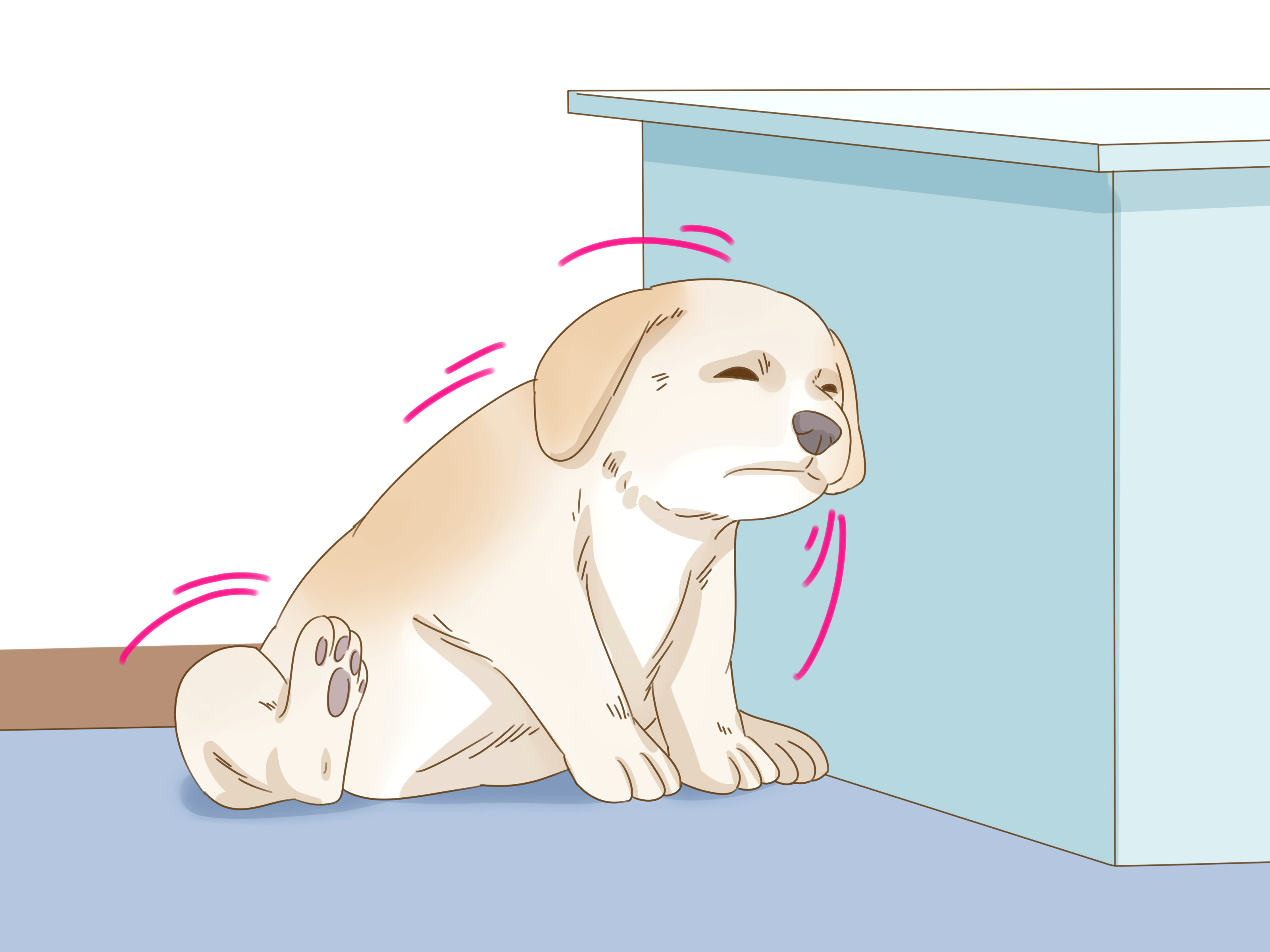 treat seasonal allergies in dogs home remedies step 10 jpg
