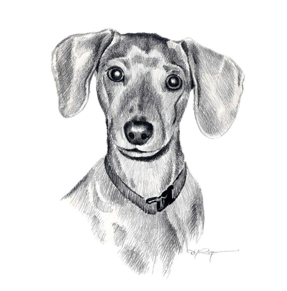Drawing Sausage Dogs Miniature Dachshund Dog Pencil Drawing Art Print Signed by Artist Dj