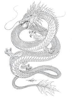 water dragon outline