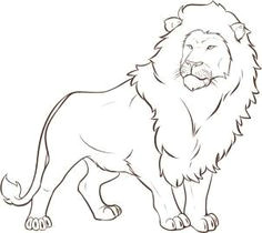 how to draw a lion step 6