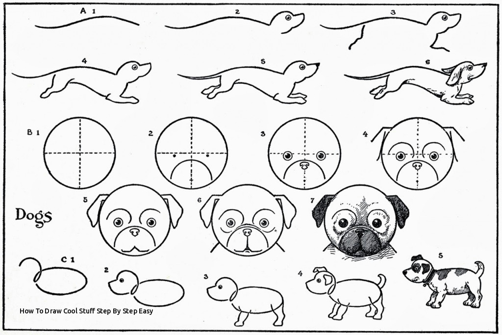 how to draw cool stuff step by step easy easy drawing animals at getdrawings of how
